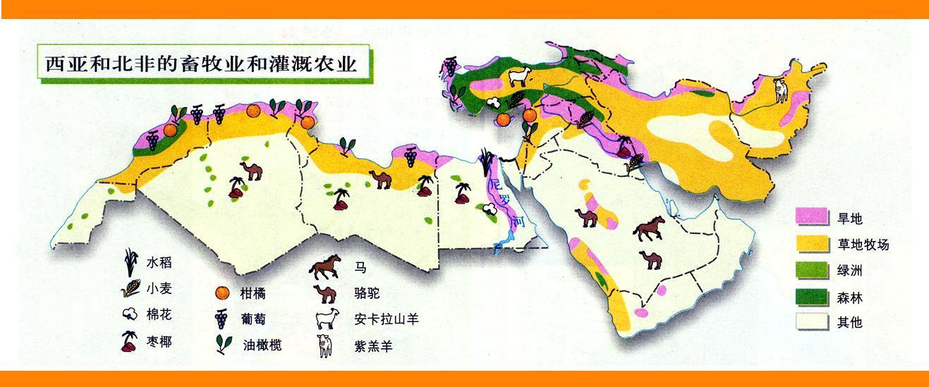 175西亚和北非的畜牧业和灌溉农业.jpg
