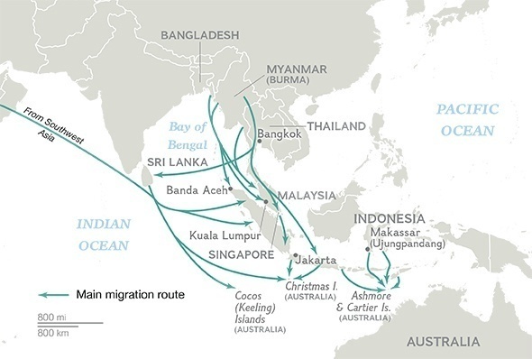 4. 东南亚先（图4）：罗辛亚穆斯林(缅甸最大的穆斯林)难民由于限制性迁徙，政治压迫等问题逃离缅。然而一些逃离缅甸和孟加拉国的难民被来自安达曼海、马六甲海峡沿岸的印尼、泰国和马来西亚的走私者控制。
